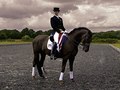 Campaign to celebrate the Cultural Olympics and bring together culture and sport, promoting athletes training for 2012