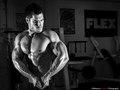 Model: Jamie Alderton