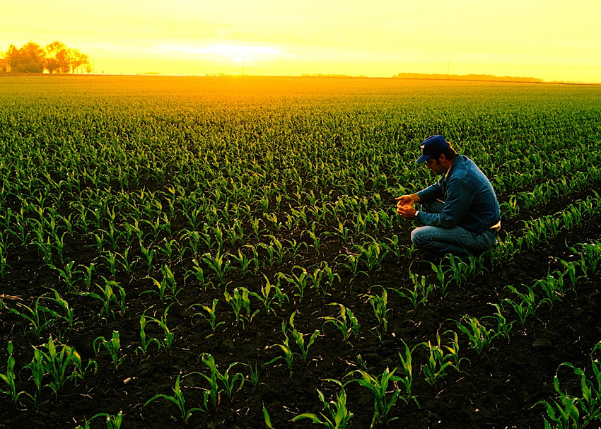 monsanto-ad/iowa