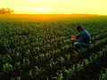 monsanto-ad/iowa