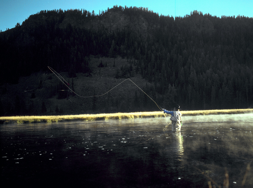 Fenwick Rods and Reels-ad