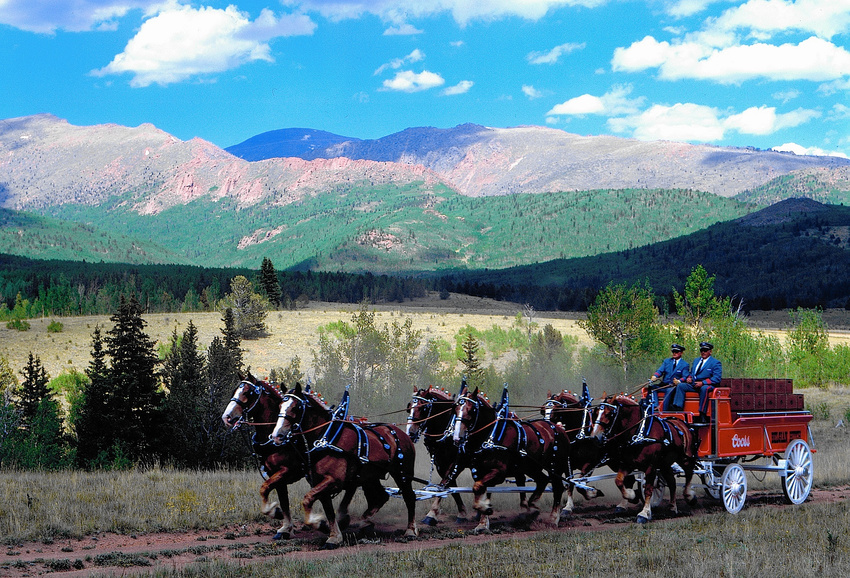 Coors Wagon