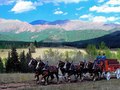 Coors Wagon