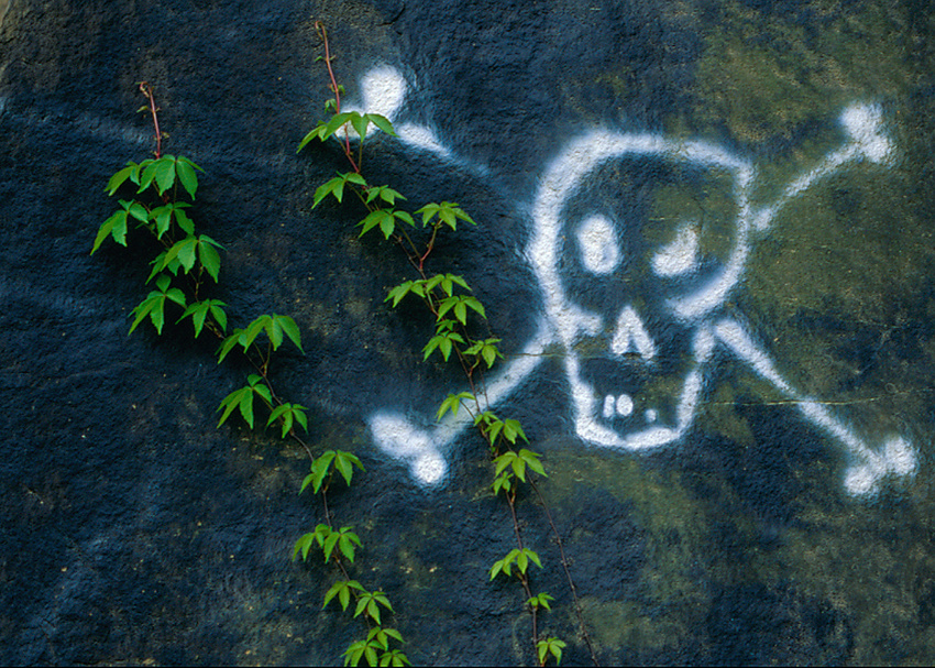 Deep.Deep in Smoky Mts./Tenn/personal