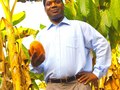 ADM-COTE D' IVOIRE/ WEST AFRICA