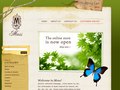 Custom Shopify Theme