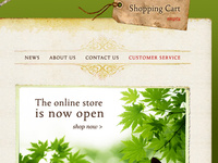 Custom Shopify Theme