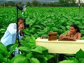 Nicaragua