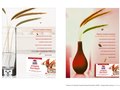 Quaker Simple Harvest  /  Element 79  /  Design