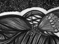 She wore a Butterfly in her Hair