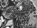 Ficher's Bird Sktech