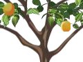 Home page takeover - Tree banners (Standard)