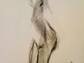 life drawing
