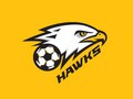 Hawks Soccer Team - Kids ages 7-10
