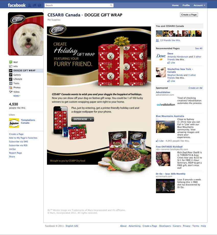 Cesar Holiday Gift Wrap Concept