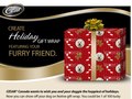 Cesar Holiday Gift Wrap Concept