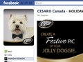Cesar Holiday Dress-up App