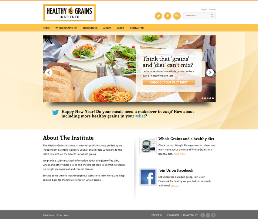 Website Design