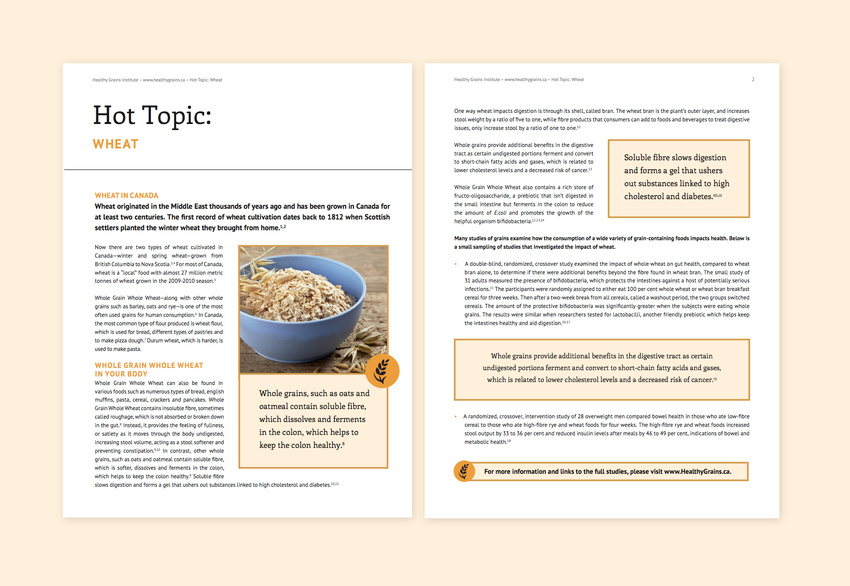 PDF Factsheet 