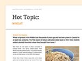 PDF Factsheet 