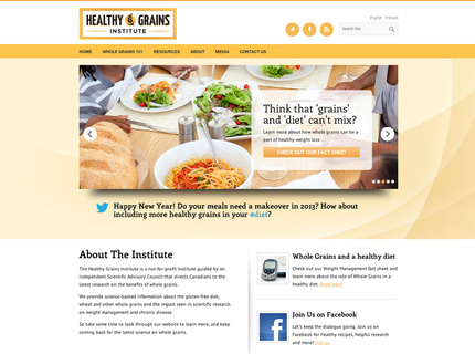 Website Design