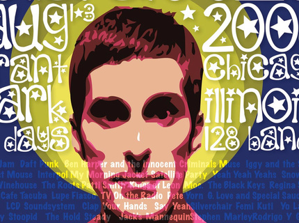 Lollapolooza Poster by James
