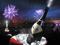 Happy New Year 2009 - Promo