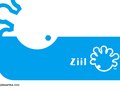 Ziil / Maris Lindoja