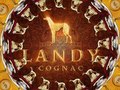 Landy Cognac l UNVI