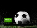 FC SNAKE l snakefc.com