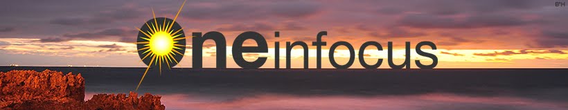http://www.oneinfocus.org/
