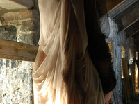 Drape organic.