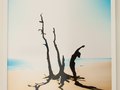"Clear Light of Bliss" 27x42