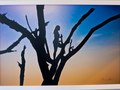 "Brave Heart" SOLD