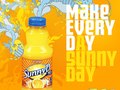 SunnyD › Web Comps