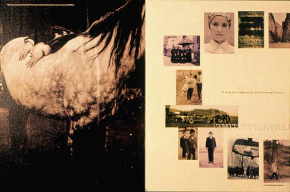 i-D Stephen Male Art Director 1983-1993 Consultant Art Director 2005-2008 Photographer Juergen Teller