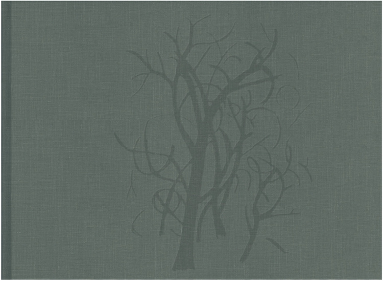 CLARE RICHARDSON Beyond the Forest. A Transylvanian farming community where it is said that the people believed to be the descendants of the children led out of Hamelin live. Edited and designed by Stephen Male, published by SteidlMack 2006