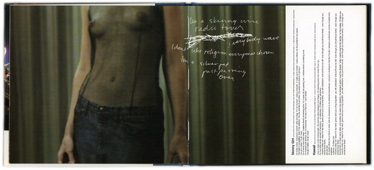 FURSLIDE Adventure Art Director Stephen Male 1998 Photographer Glen Luchford