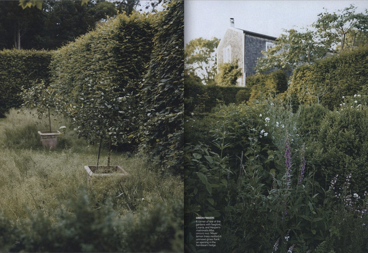 VOGUE Art Director Stephen Male 2008-2009 Photographer Christopher Baker