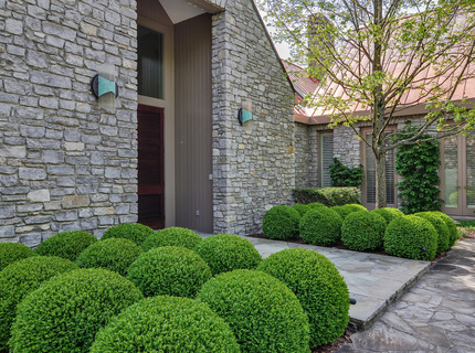 A landscape designed for sculptures is itself a collection of horticultural sculptures.