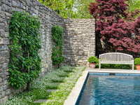 A landscape designed for sculptures is itself a collection of horticultural sculptures.