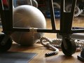 Ascend Body Gym