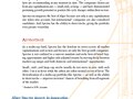 Spectra Fund Brochure