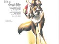 It's a Dog's Life