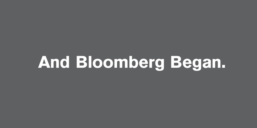 Bloomberg Diversity Concept