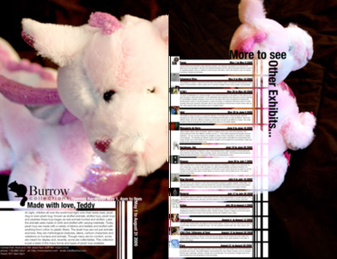 The Burrow Collection - double sided poster