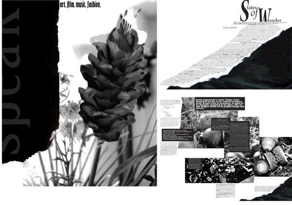 Speak Magazine layout and cover