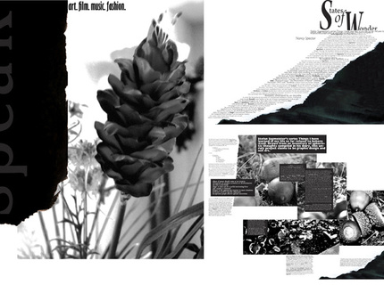 Speak Magazine layout and cover