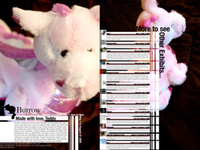 The Burrow Collection - double sided poster