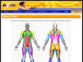 Interactive Muscle Chart